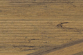 TimberTech - Tigerwood
